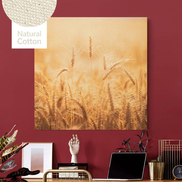 Obrazy do salonu nowoczesne Kłosy kukurydzy z blachy stalowej