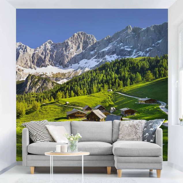 Tapeta góry Styria Alpejska łąka
