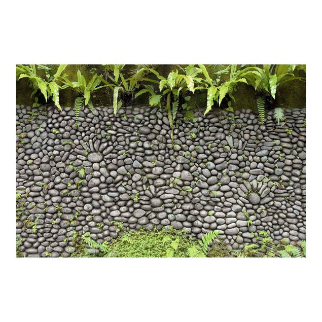 Fototapeta - Kamienny mur z roślinami