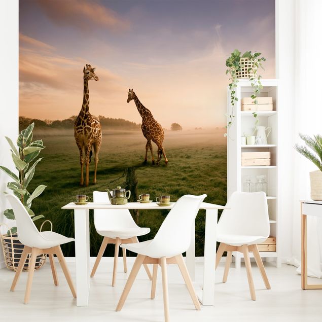 Fototapety afryka Surrealistyczne żyrafy