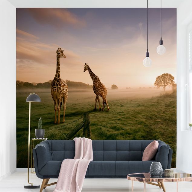 Tapety żyrafa Surrealistyczne żyrafy