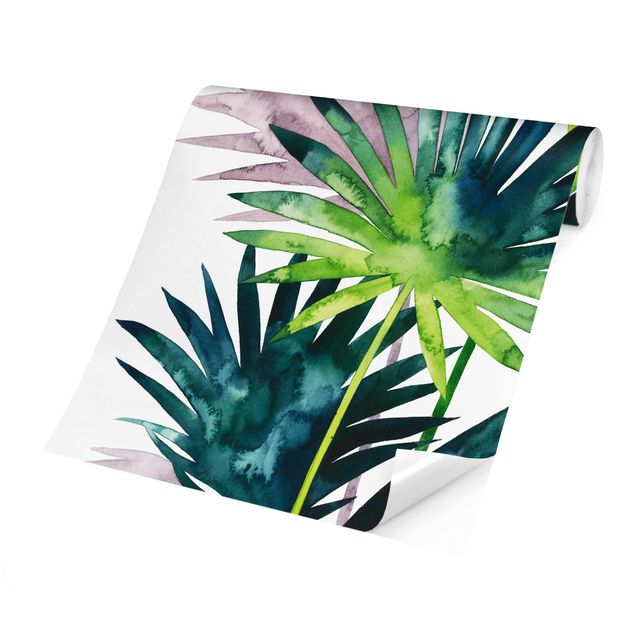 Fototapeta Egzotyczne liście - Fan Palm