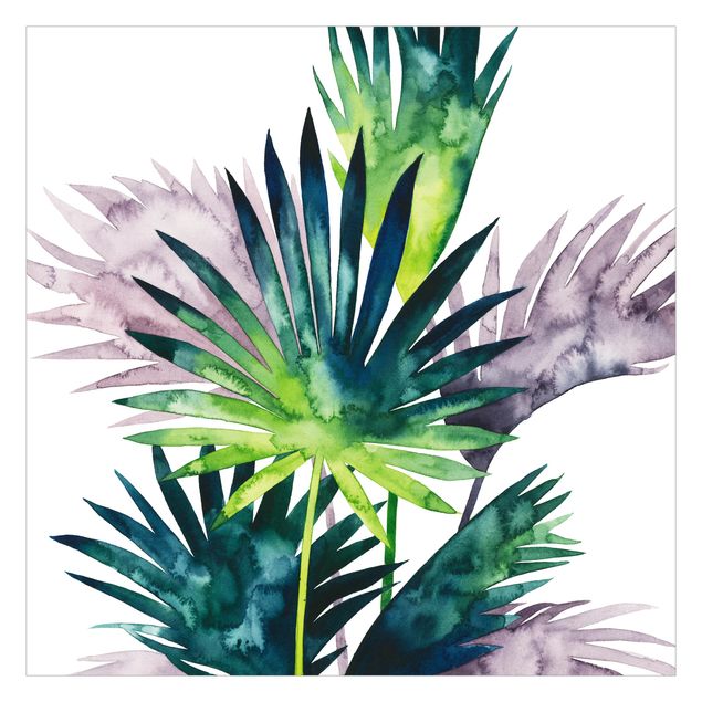 Fototapeta - Egzotyczne liście - Fan Palm
