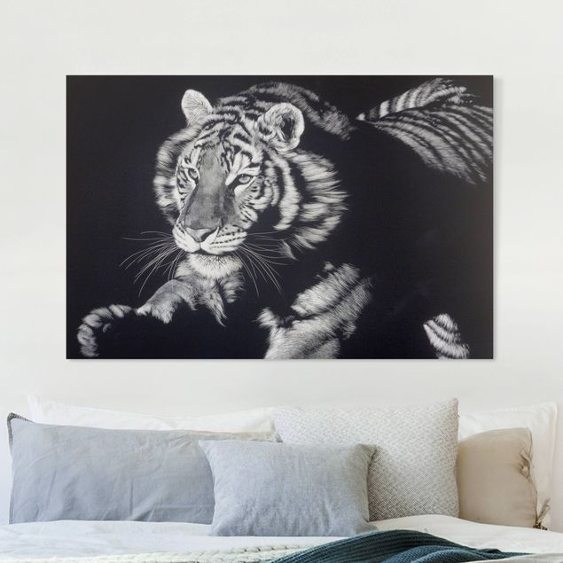Obrazy do salonu nowoczesne Tiger In The Sunlight On Black