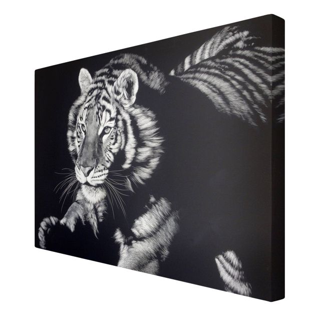 Czarno białe obrazki Tiger In The Sunlight On Black