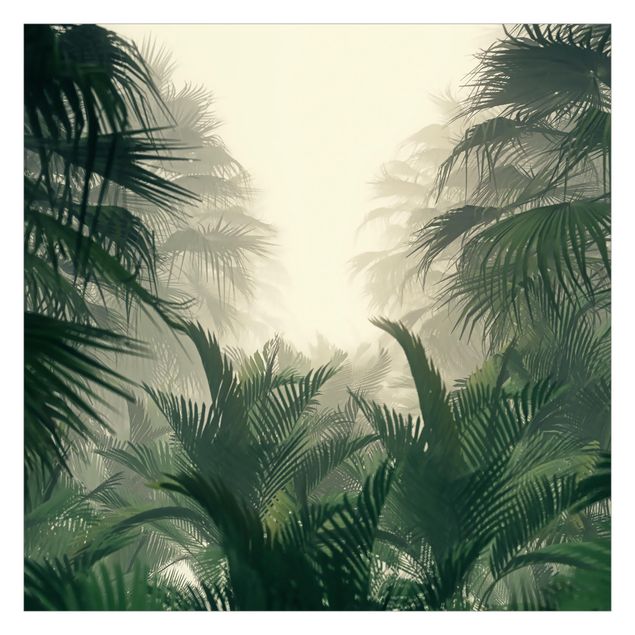 Fototapeta - Tropical Plants In Fog