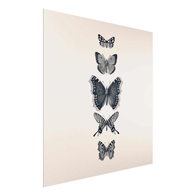 Obrazy na szkle zwierzęta Motyle z atramentu na beżowym tle
