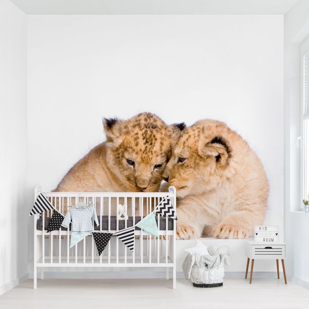 Fototapety Dwa lwie dzieci