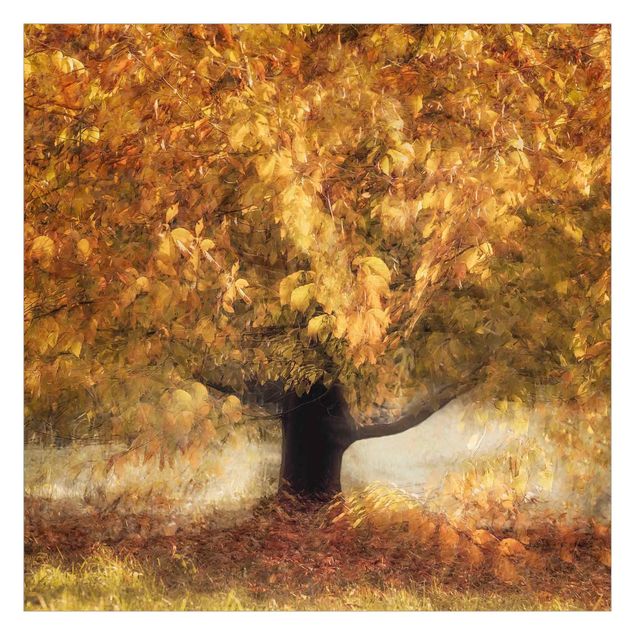 Fototapeta - Drzewo marzycielskie jesienią