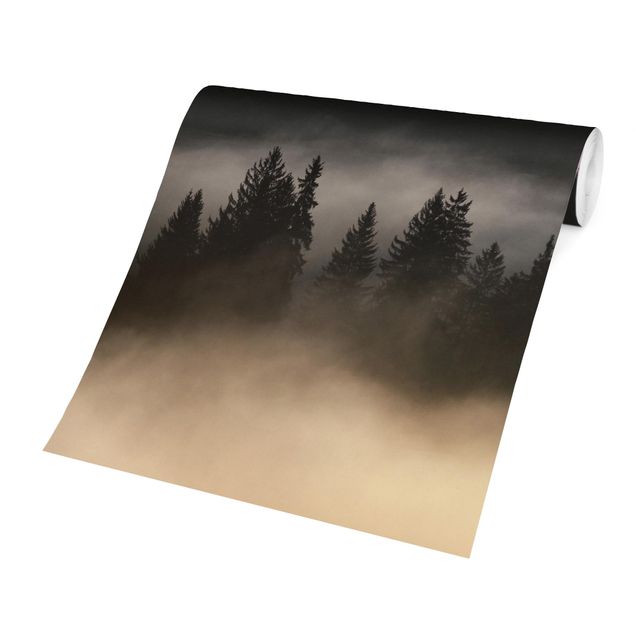 Fototapeta Śliczna mgiełka leśna