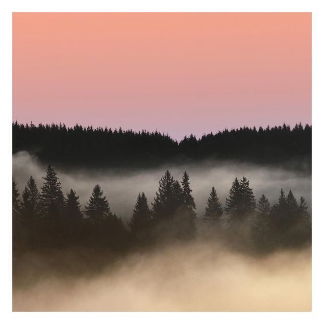 Fototapeta - Śliczna mgiełka leśna