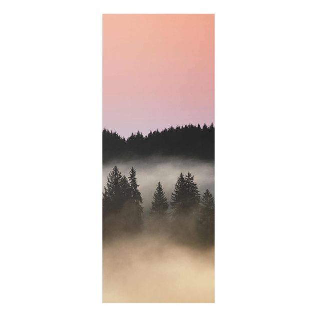 Nowoczesne obrazy Śliczna mgiełka leśna