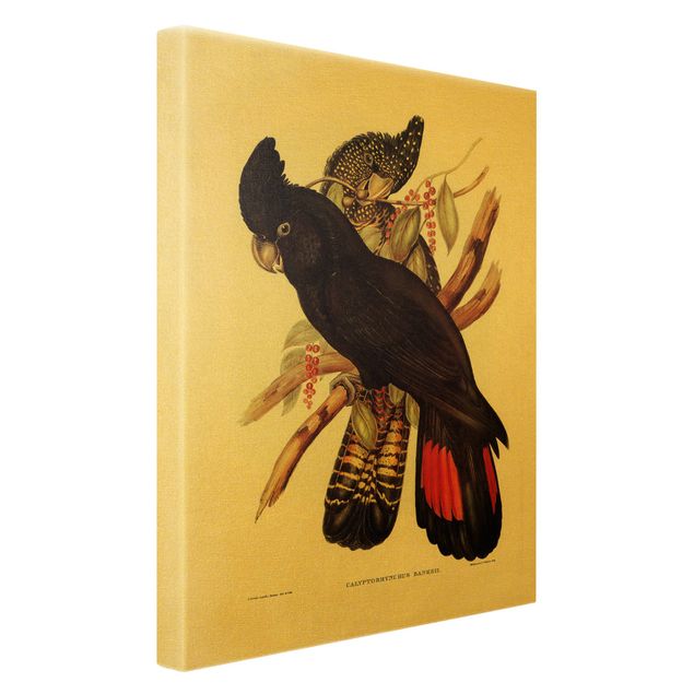 Obrazy ptaki na płótnie Ilustracja w stylu vintage kogut czarny złoty