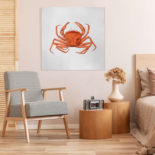 Nowoczesne obrazy Vintage Illustration Red Crab