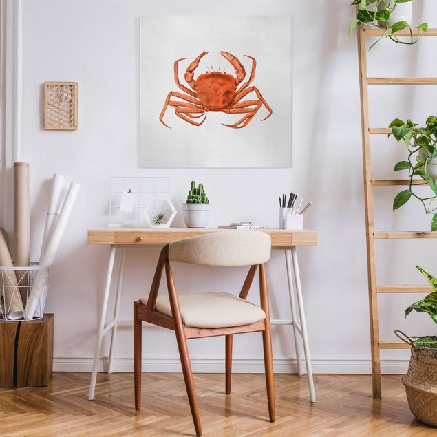 Obrazy z morzem Vintage Illustration Red Crab