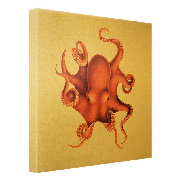 Ryby obrazy Vintage Illustration Red Octopus
