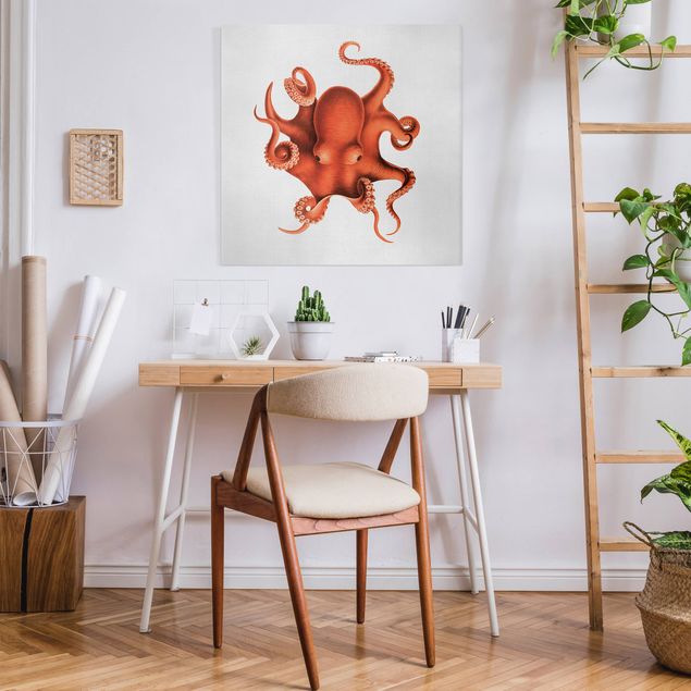 Obrazy nowoczesne Vintage Illustration Red Octopus