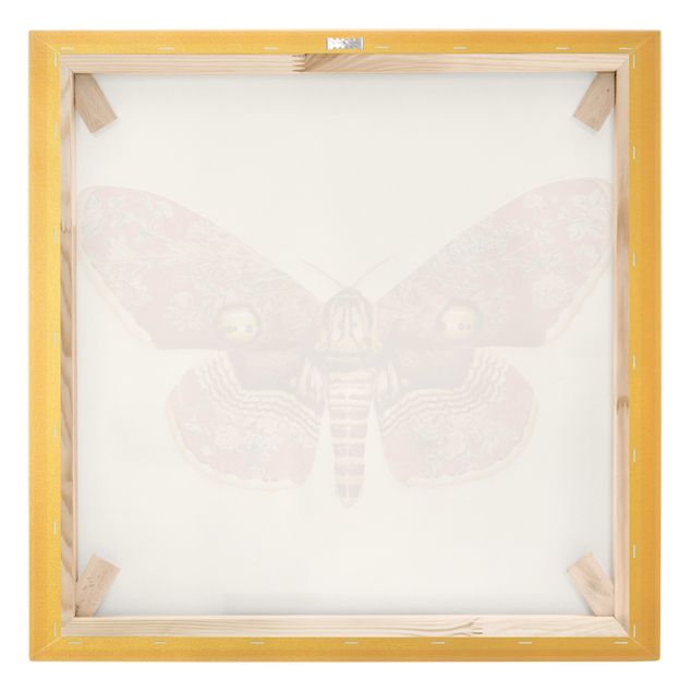 Jonas Loose obrazy Vintage Moth