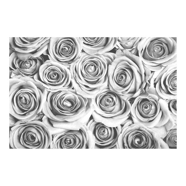 Fototapeta - Vintage Roses Czarno-biały