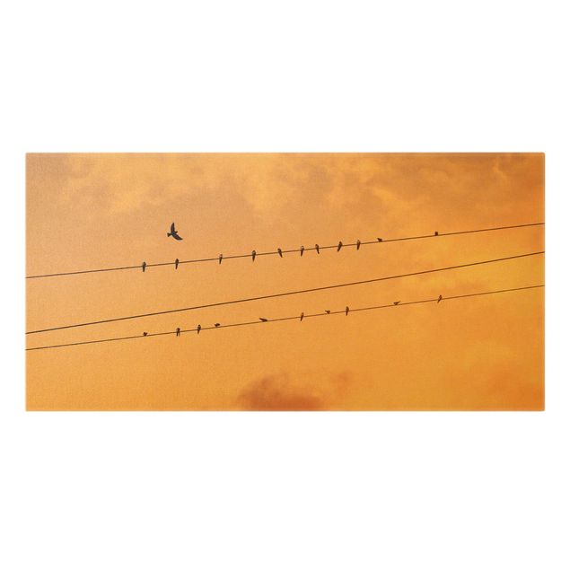 Obrazy retro Ptaki na linii energetycznej
