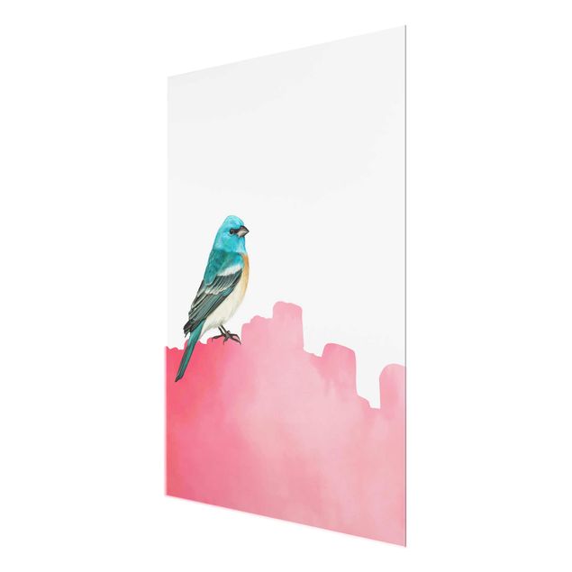 Zwierzęta obrazy Ptak na różowo