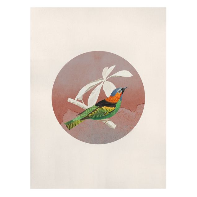 Obrazy ptaki na płótnie Kolaż z ptakami w kole II