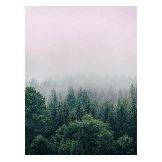 Obrazy krajobraz Las o zmierzchu we mgle