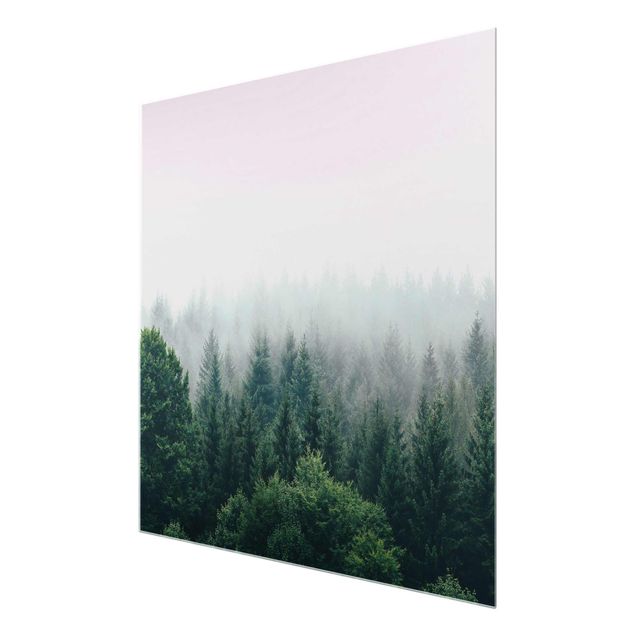 Obrazy drzewa Las o zmierzchu we mgle