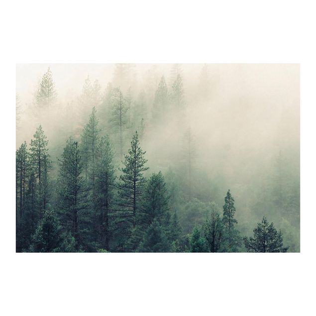Fototapeta - Foggy Forest Awakening