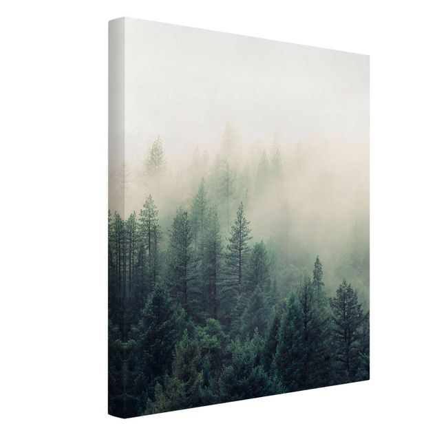 Obrazy drzewa Las we mgle Przebudzenie