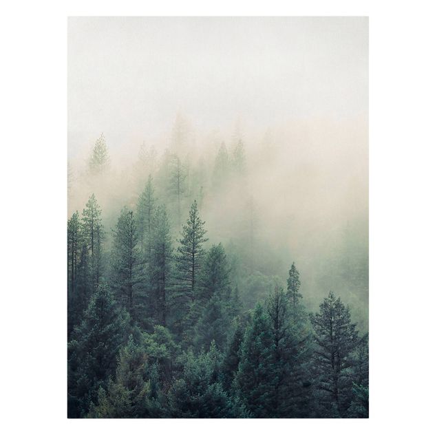 Obrazy krajobraz Las we mgle Przebudzenie