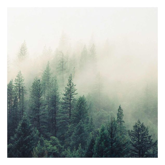 Obrazy nowoczesny Las we mgle Przebudzenie