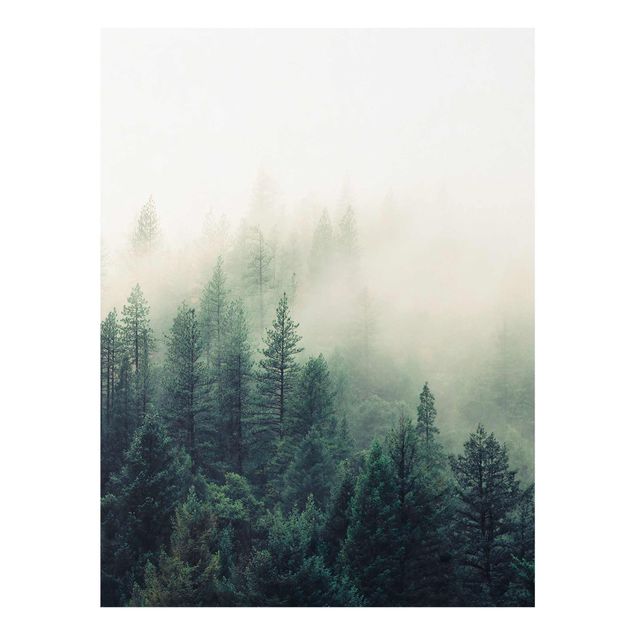 Obrazy nowoczesny Las we mgle Przebudzenie