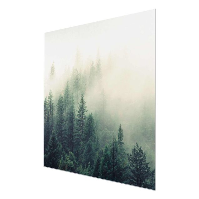 Drzewo obraz Las we mgle Przebudzenie