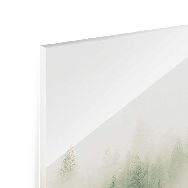 Obrazy na ścianę krajobrazy Las we mgle Przebudzenie