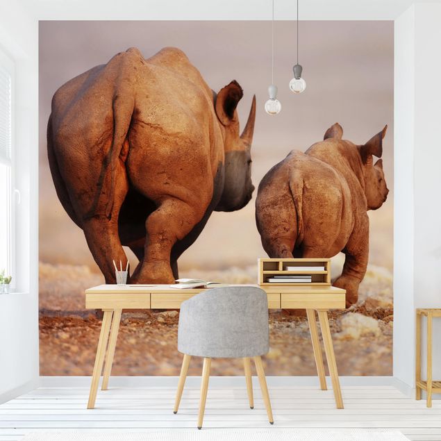 Fototapety zwierzęta Wędrujące nosorożce