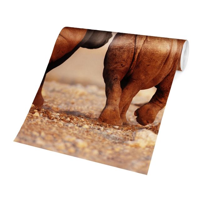 Fototapeta - Wędrujące nosorożce