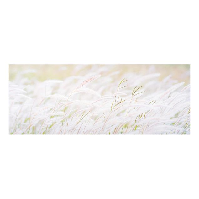 Obrazy z motywem kwiatowym Miękkie trawy