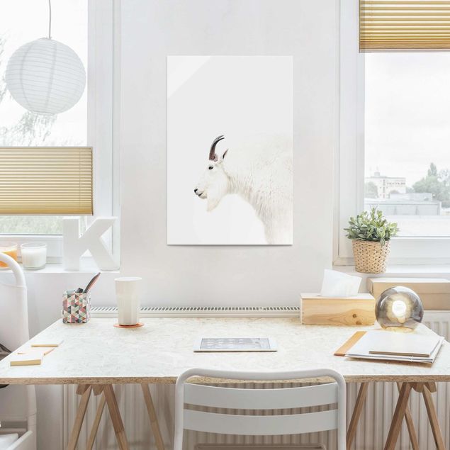 Obrazy na szkle portret Koziołek górski biały