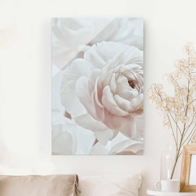 Obrazy na szkle róże Biały kwiat w morzu kwiatów