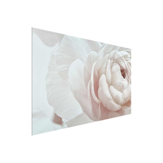Obrazy do salonu Biały kwiat w morzu kwiatów