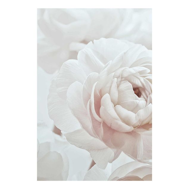 Obrazy nowoczesne Biały kwiat w morzu kwiatów