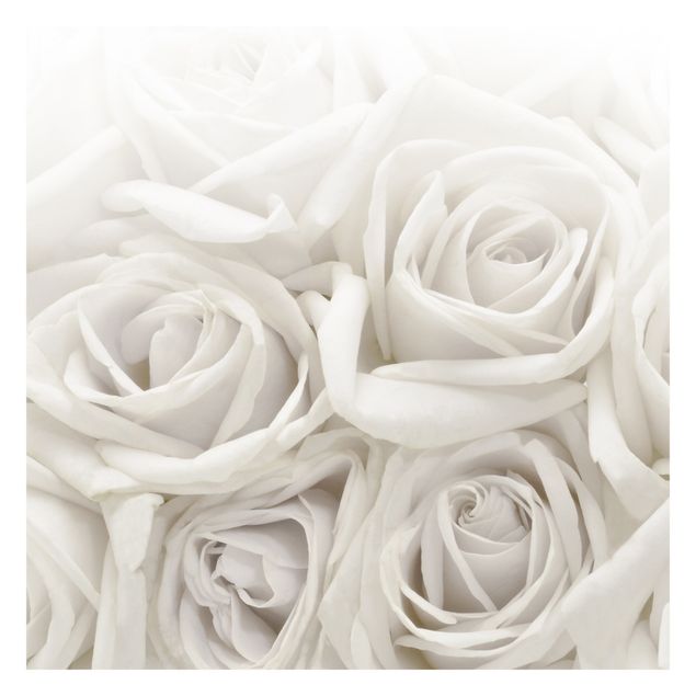 Fototapety Białe róże
