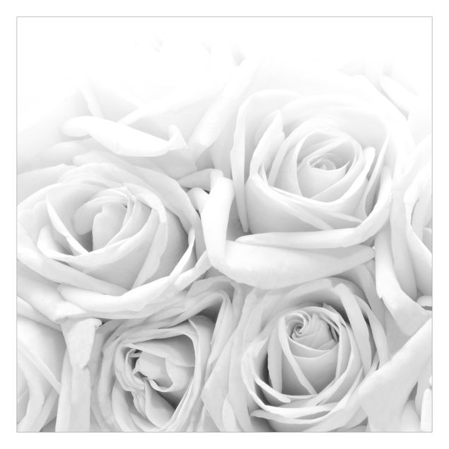 Fototapeta - Białe róże w czerni i bieli