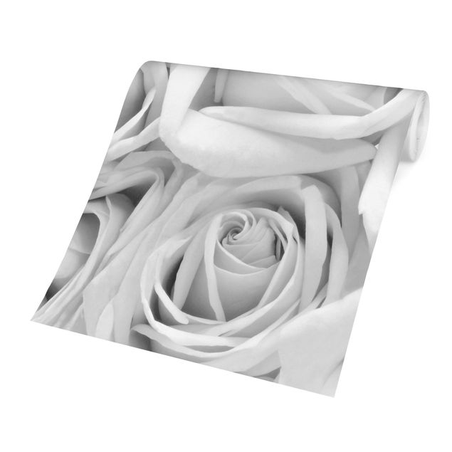 Fototapeta Białe róże w czerni i bieli