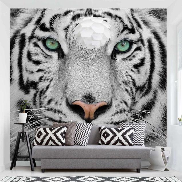 Dekoracja do kuchni Biały tygrys