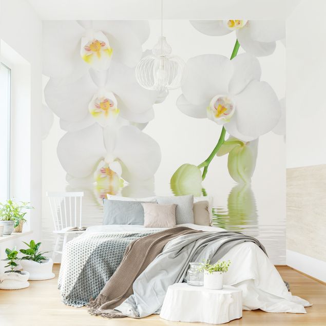 Tapety orchidea Orchidea wellness - Orchidea biała