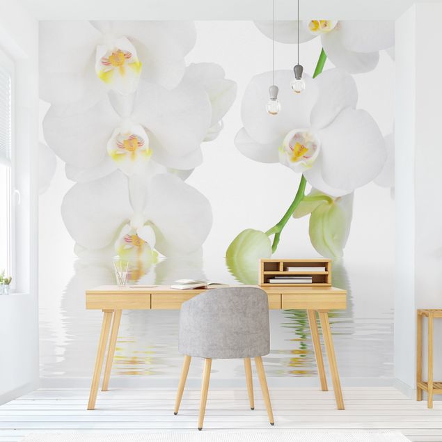 Fototapety kwiaty Orchidea wellness - Orchidea biała