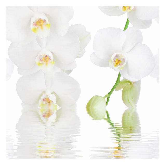 Fototapeta - Orchidea wellness - Orchidea biała