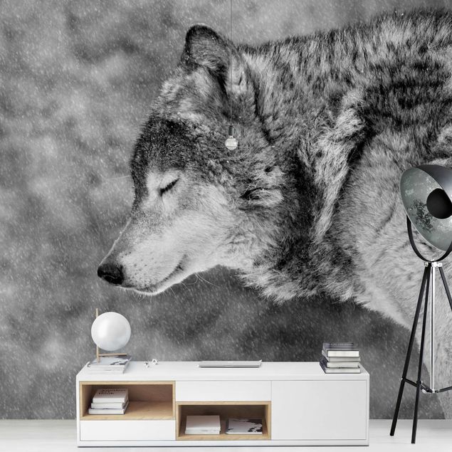 Tapety na ściany Winter Wolf